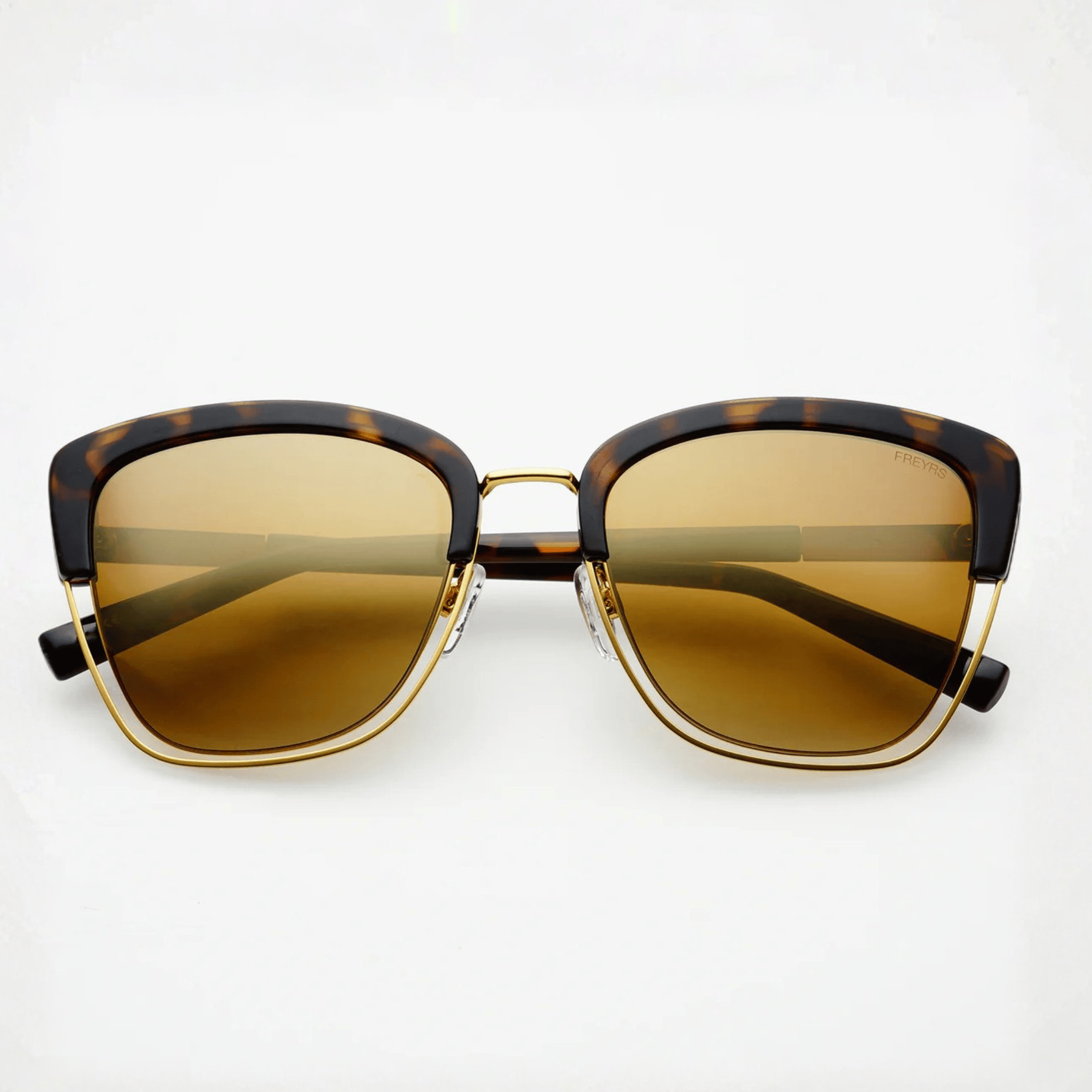 Iris Tortoise