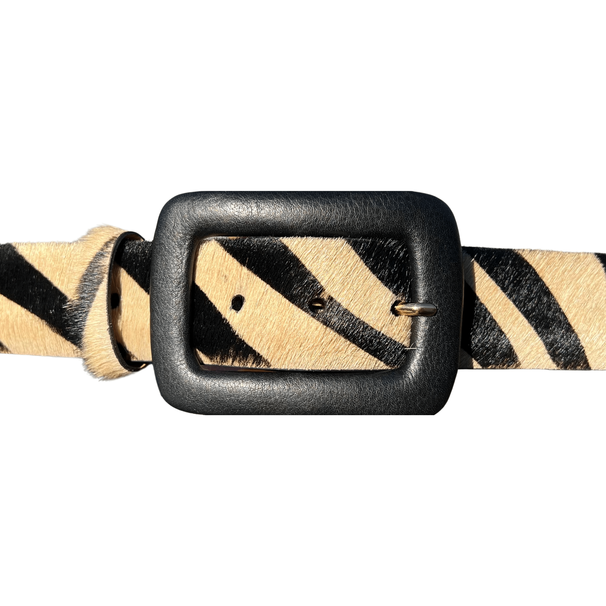 Kleinberg - Safari Zebra