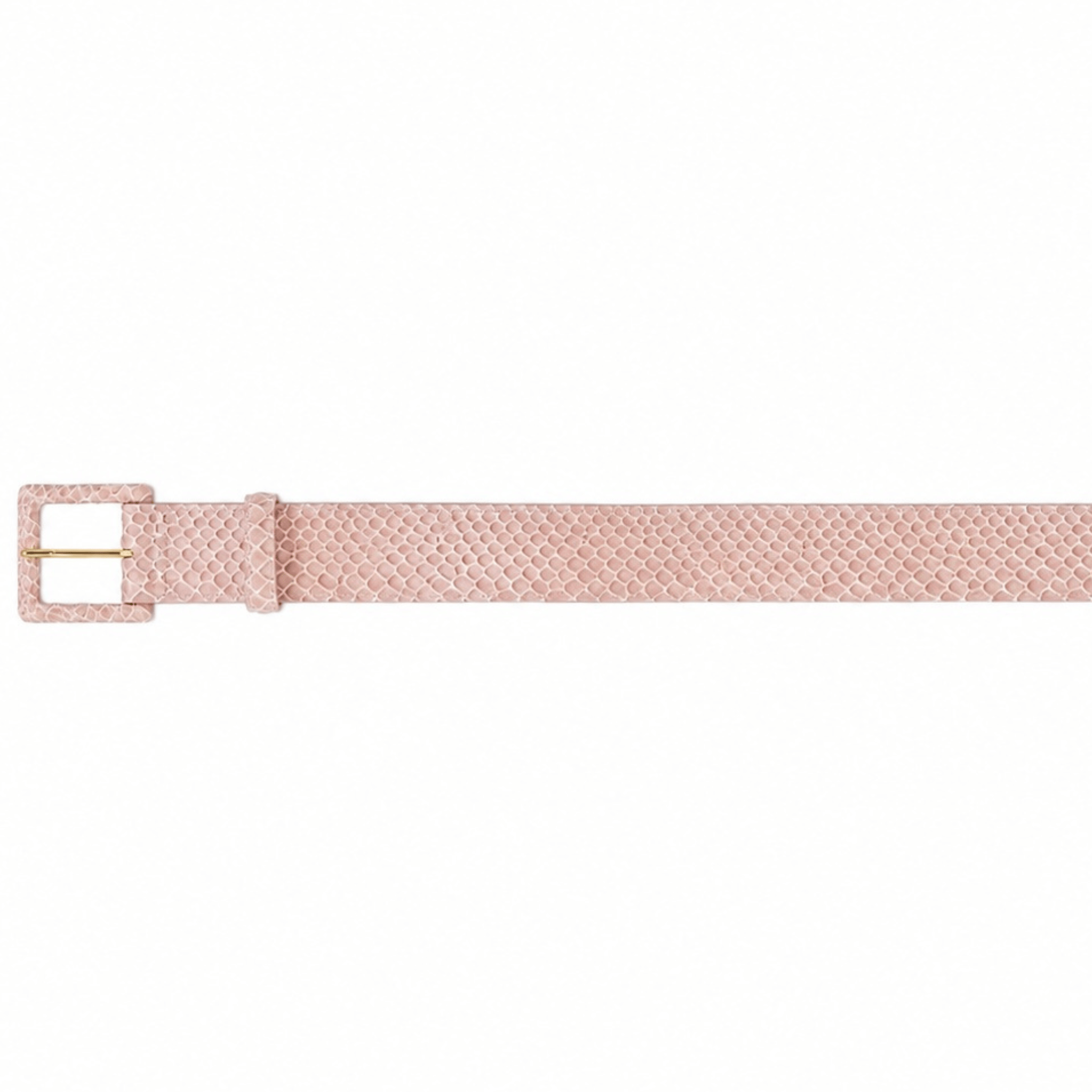 Pink Python Buckle